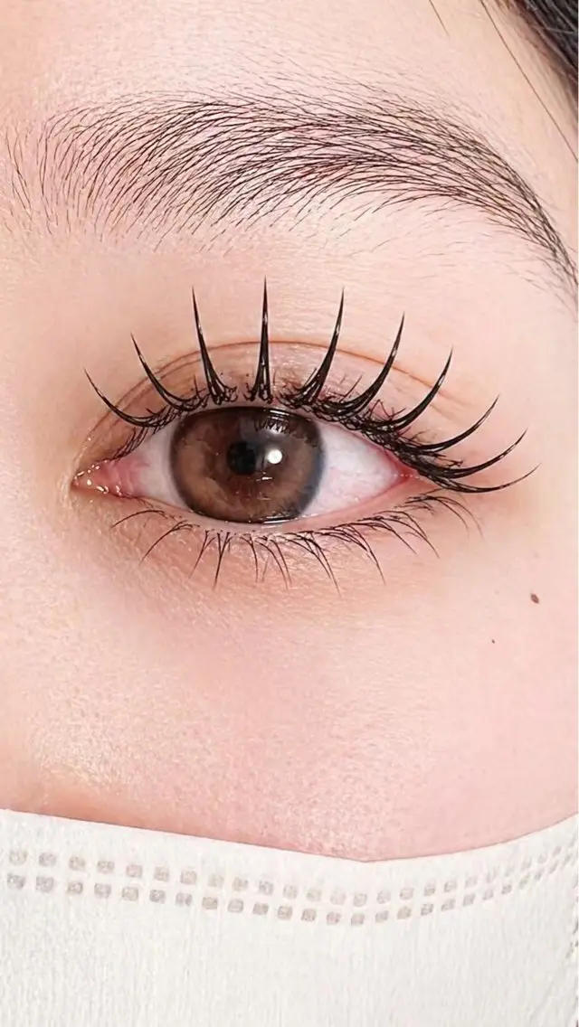 練習モデル　フラットラッシュ　100本 上  オフなしの写真