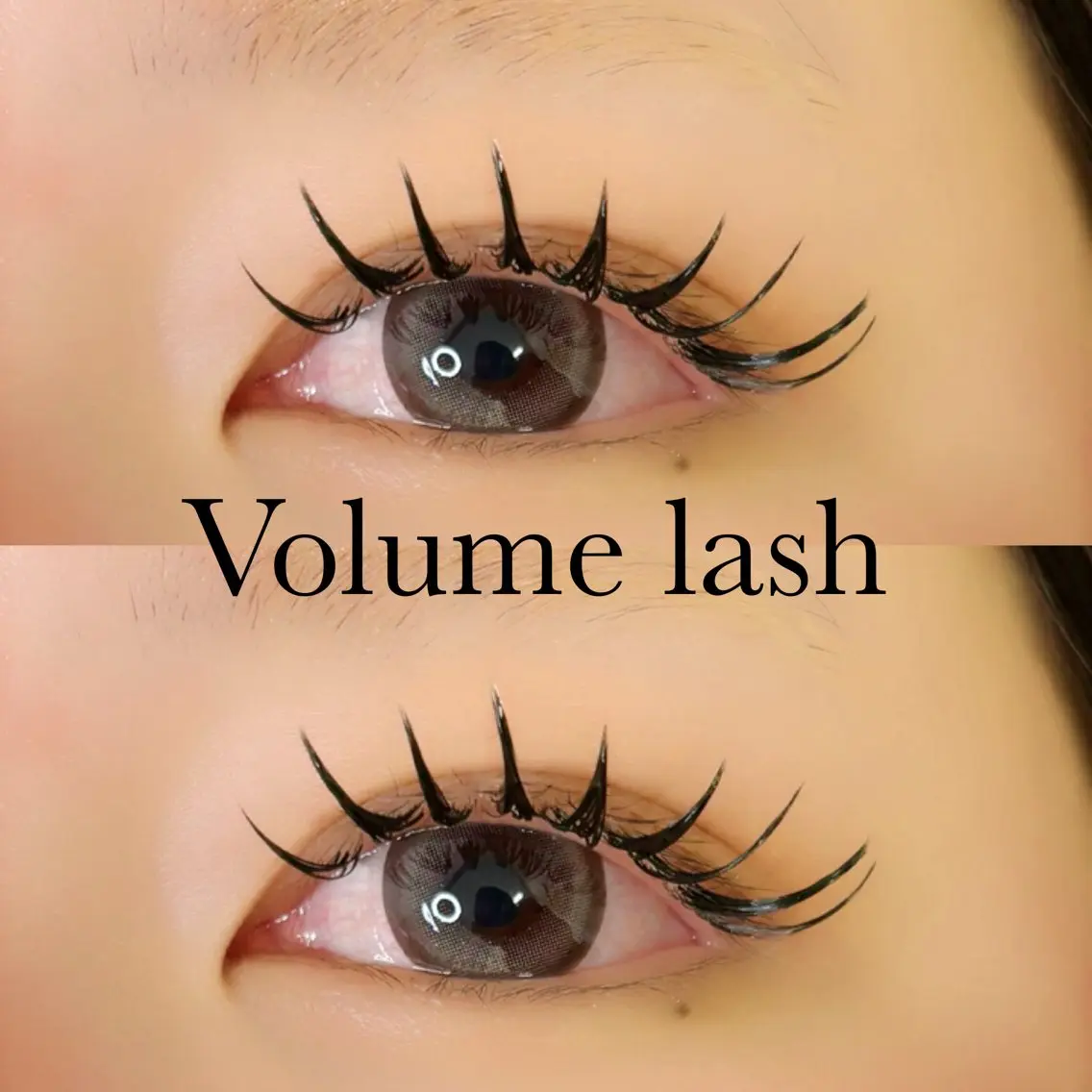 【Volume lash♥️】ボリュームラッシュ120束の写真