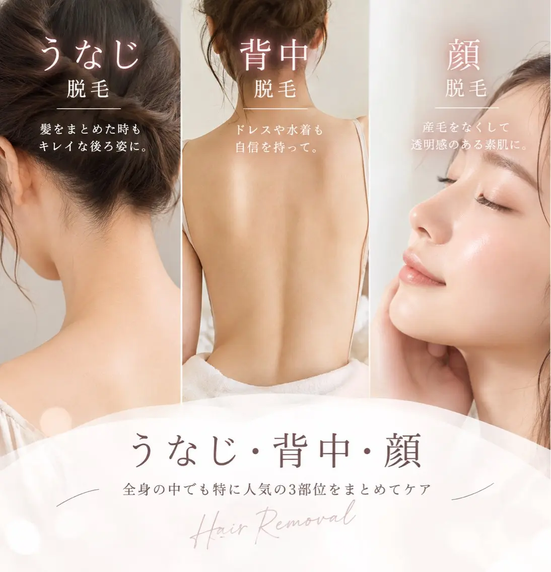 うなじ・背中・顔脱毛　【通常価格】22000円　成人式や結婚式前に綺麗に整えませんか？🎀🫧の写真