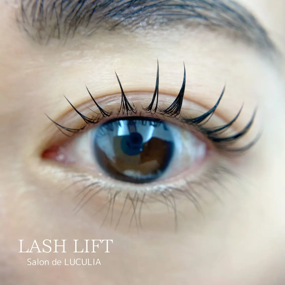 マツエク・マツパ eyelash MEGUのマツエク・マツパデザイン
