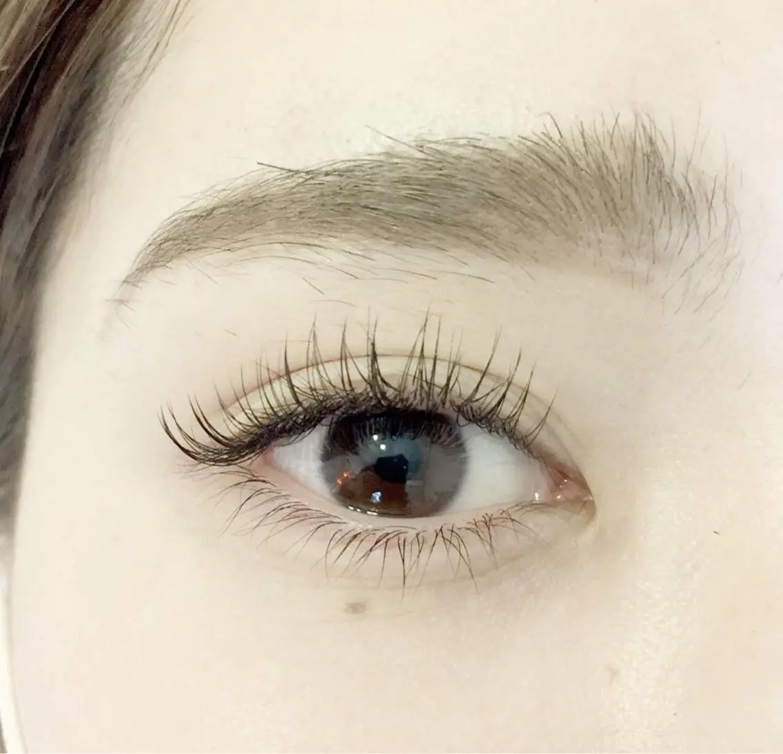 🌟ご新規様ミニモ限定🌟　両目100本トリートメント込みの写真