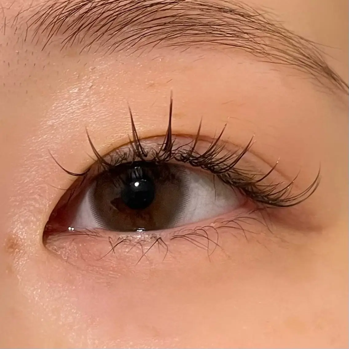 フラットラッシュ80本の写真