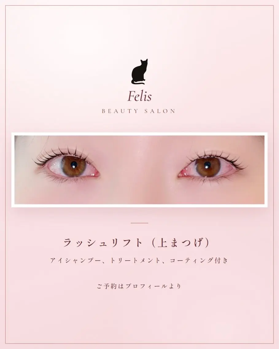 🐈‍⬛ラッシュリフト(アイシャンプー、TR、CT付き)の写真