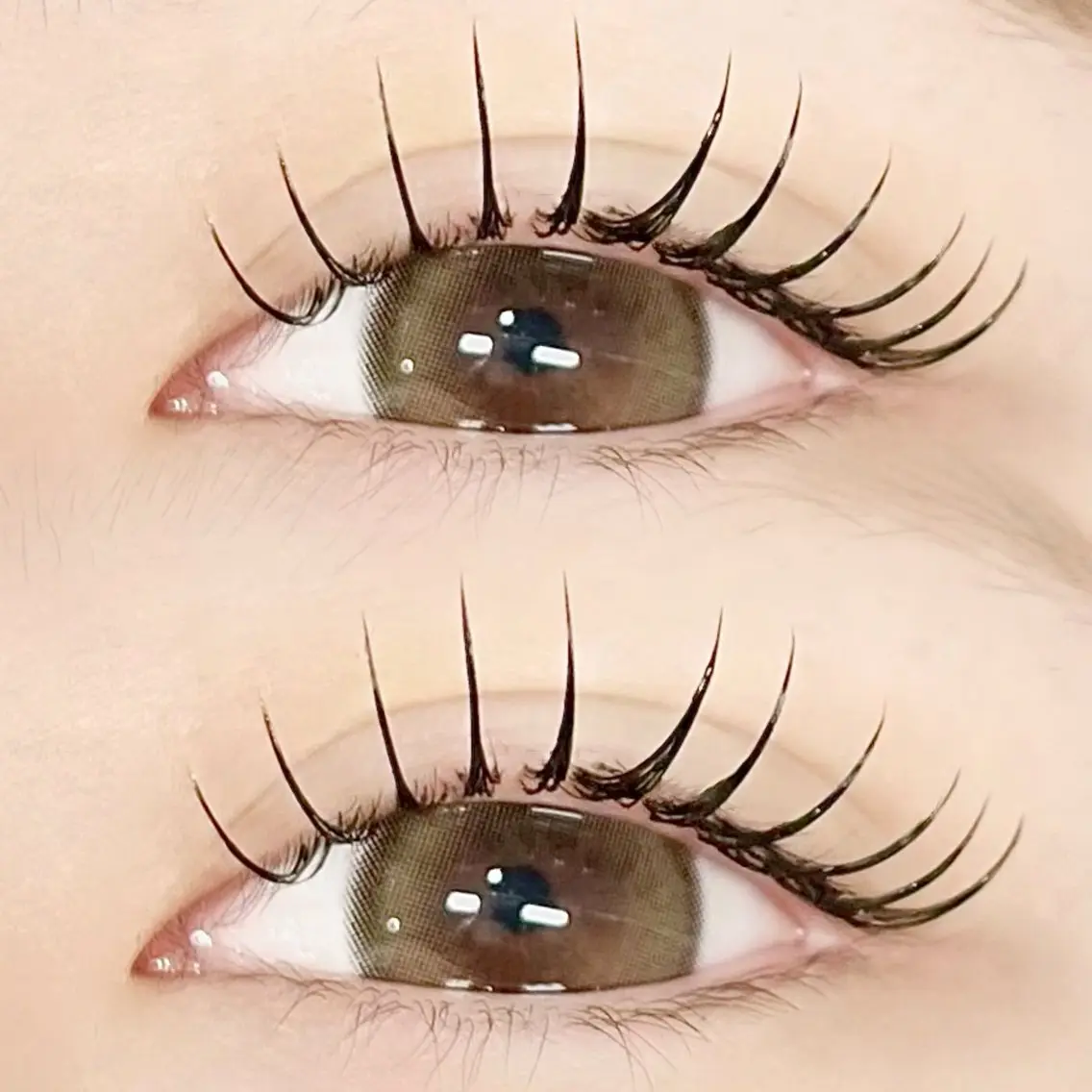 マツエク・マツパ フラットラッシュ ナチュラル eyelash Ronguiのマツエク・マツパデザイン