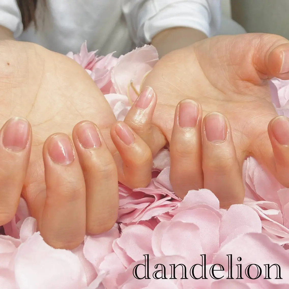 ネイル ハンドケア dandelion ダンデライオンのネイルデザイン