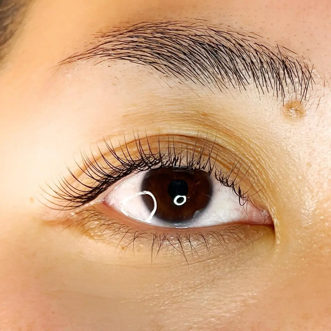 マツエク・マツパ マツエク Atlantis eyelashのマツエク・マツパデザイン