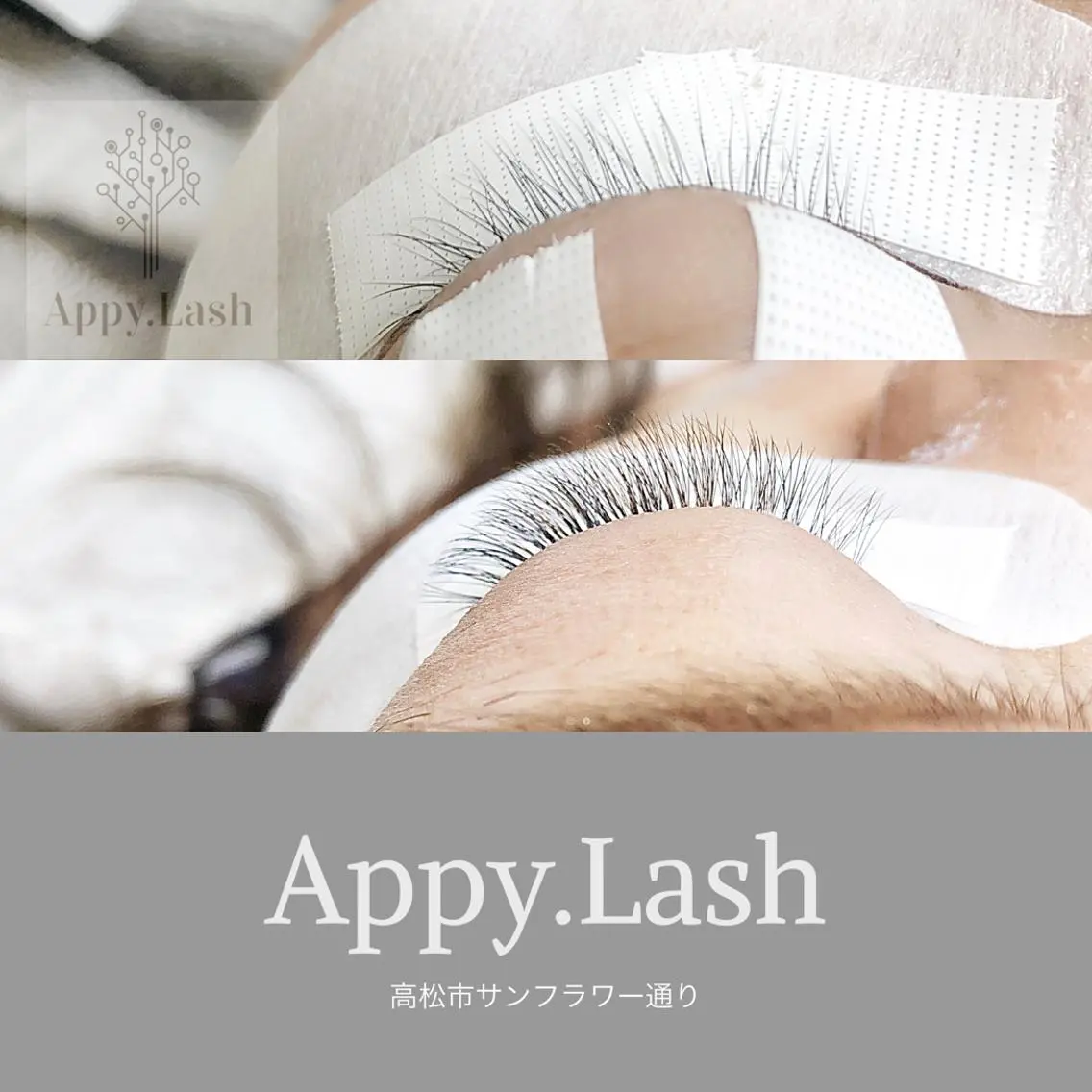 マツエク・マツパ カラーマツエク まつげと眉の専門店 Appy.Lashのマツエク・マツパデザイン