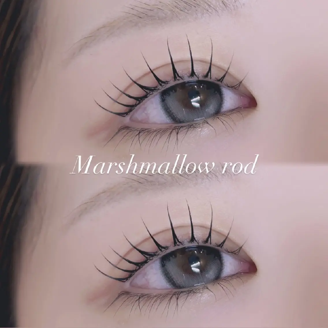 マツエク・マツパ マツパ 🐩Pupu lash🐩のマツエク・マツパデザイン