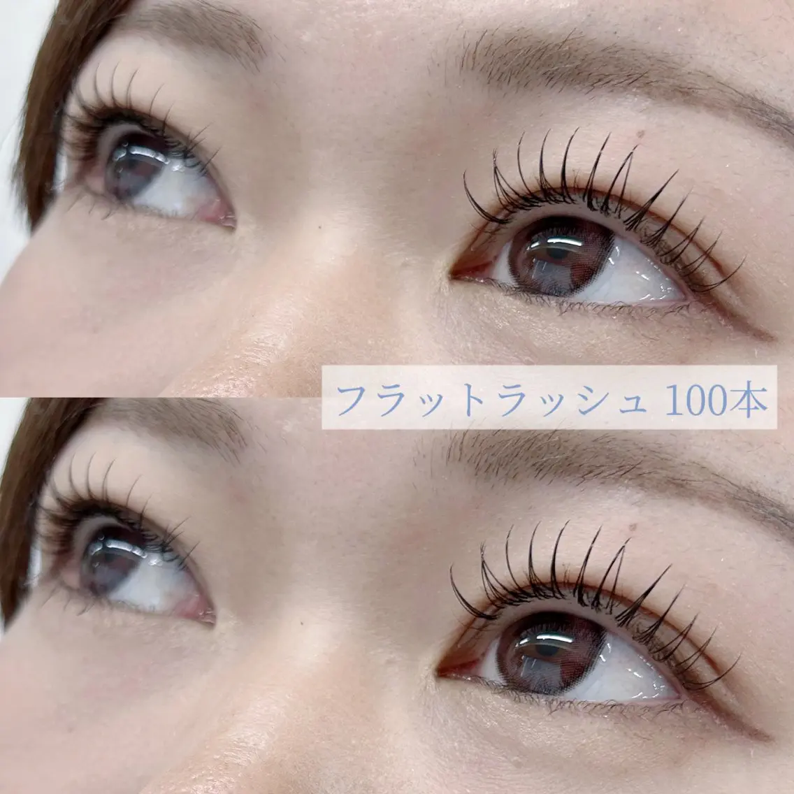 フラットラッシュ100本の写真