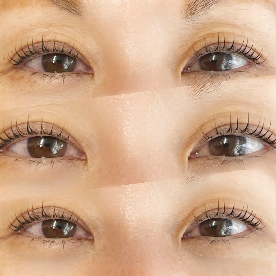 マツエク・マツパ マツパ eyelash CLAY RUMIの眉毛・アイブロウイメージ