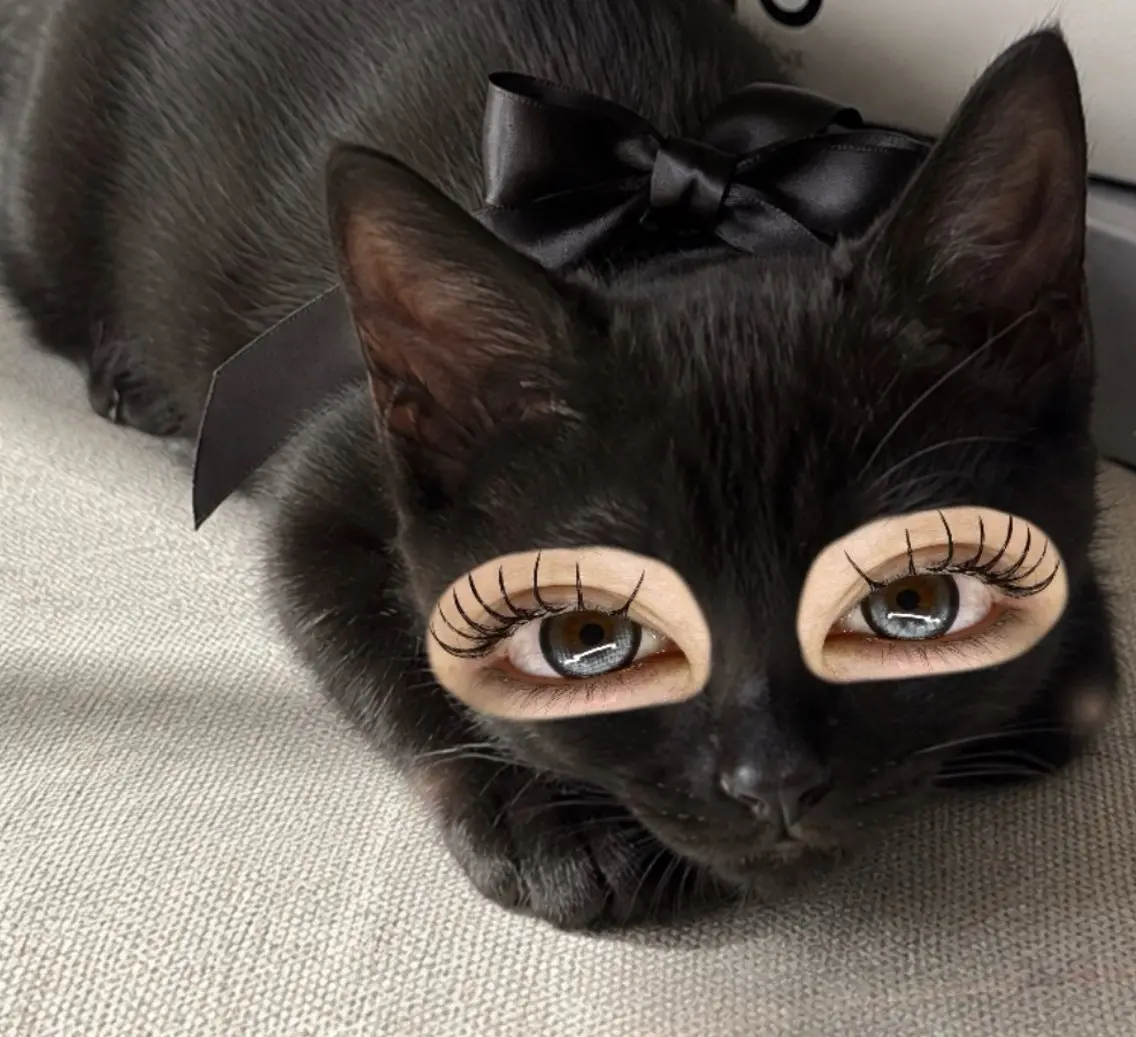 マツエク・マツパ Cカール マツエク Re:eyes Makiのマツエク・マツパデザイン