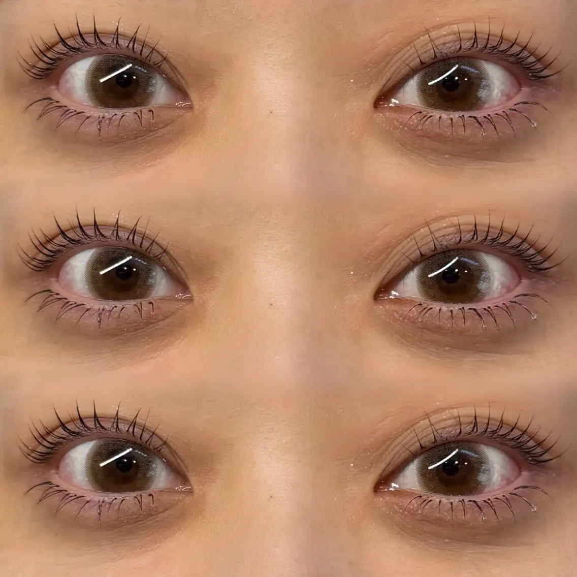 【上下パリジェンヌ】の写真