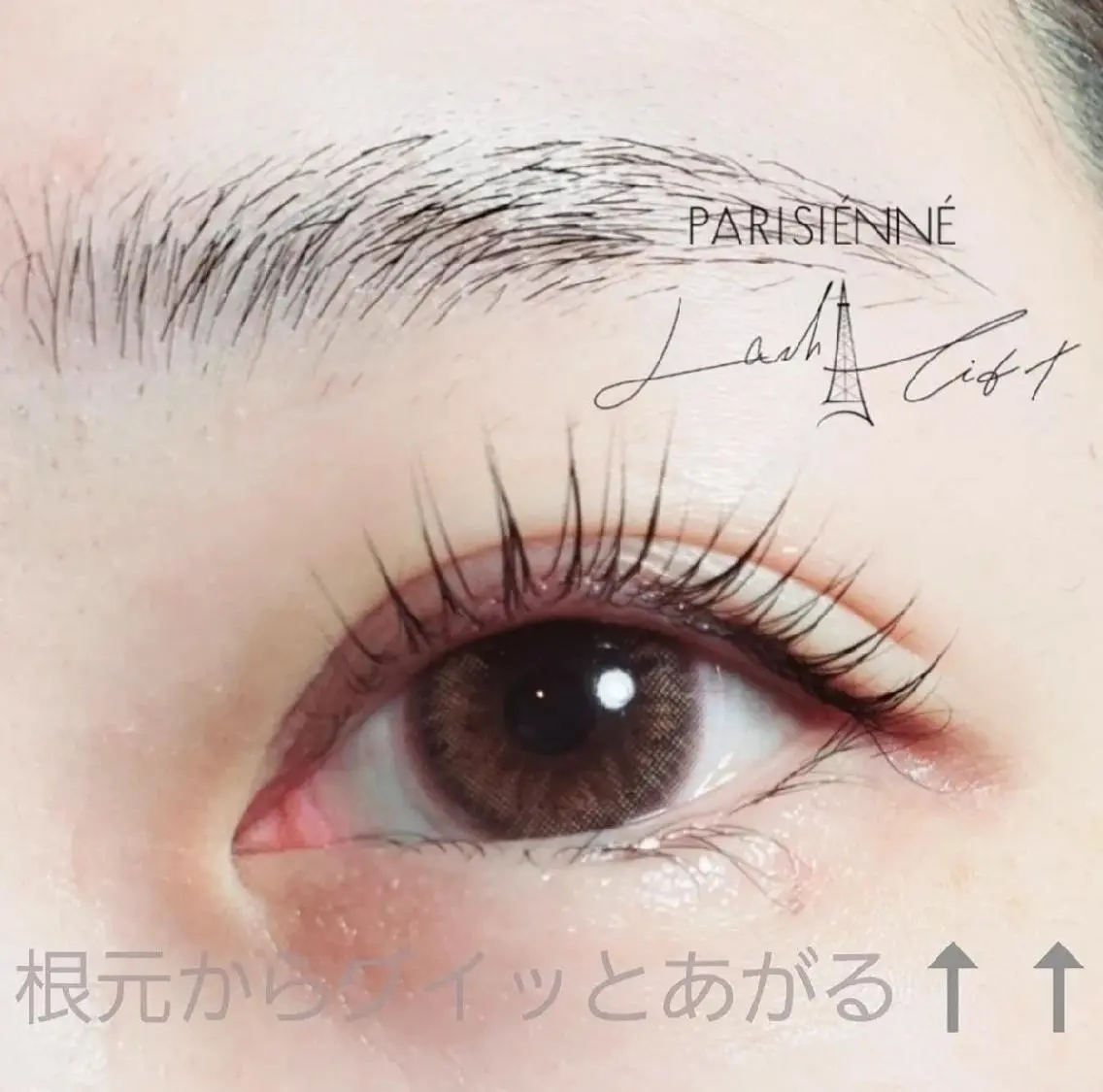 再来♡パリジェンヌ/まつ毛パーマ6300円【ケラチン美容液・コーティング付】１ヶ月以内のお客様の写真
