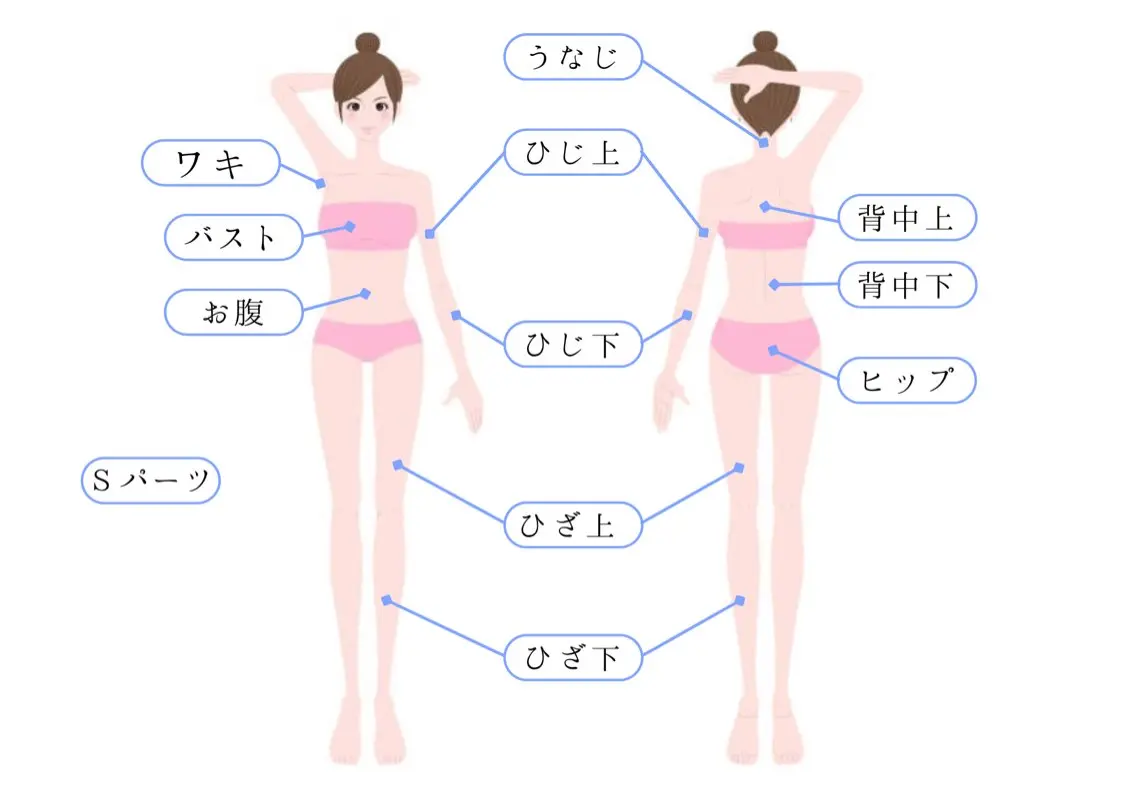 Sパーツ《ワキ･バスト･お腹･肘下･肘上･うなじ･背中上･背中下･ヒップ･膝上･膝下》から1部位お選びくださいの写真