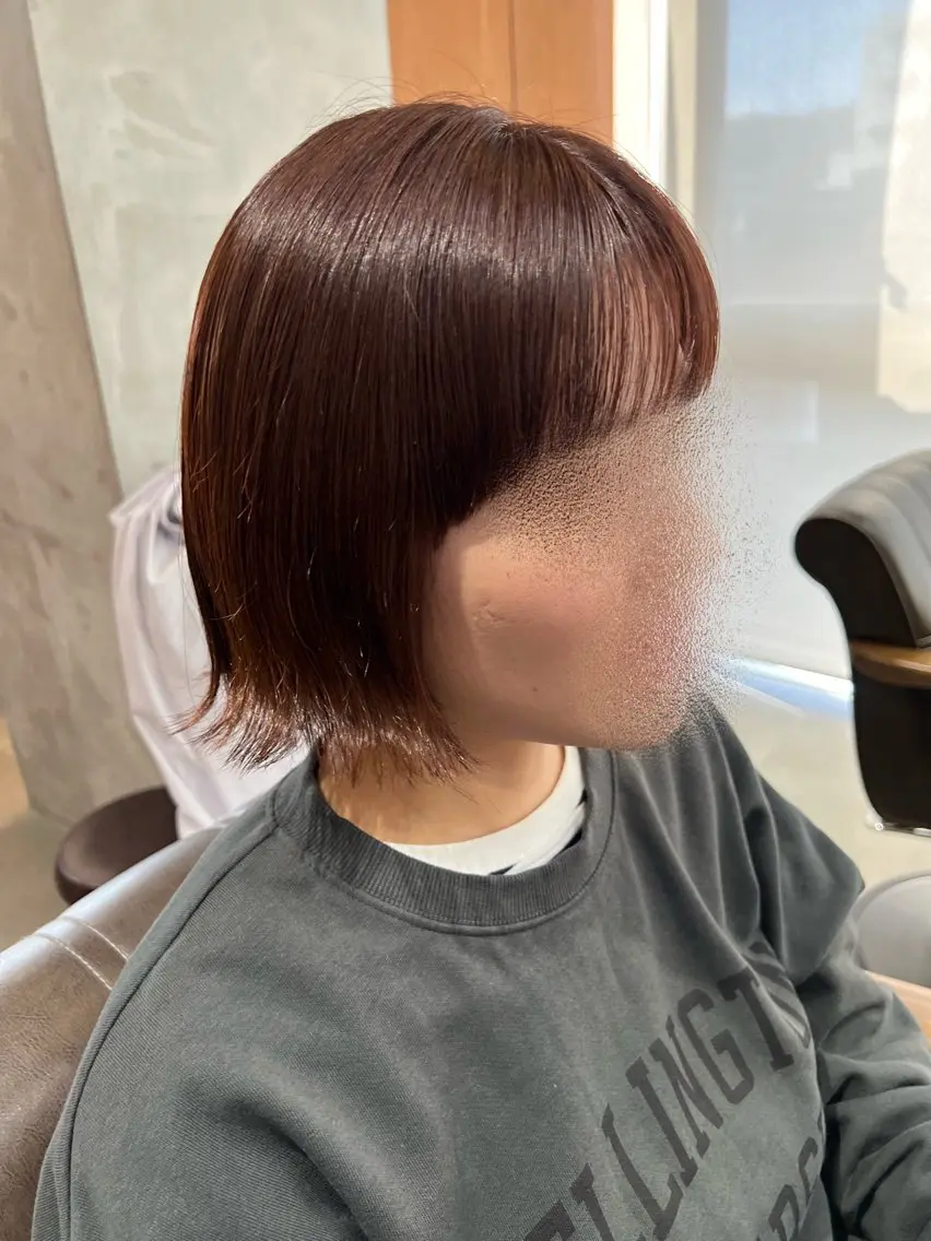カラー、カット、ライトケアトリートメントの写真