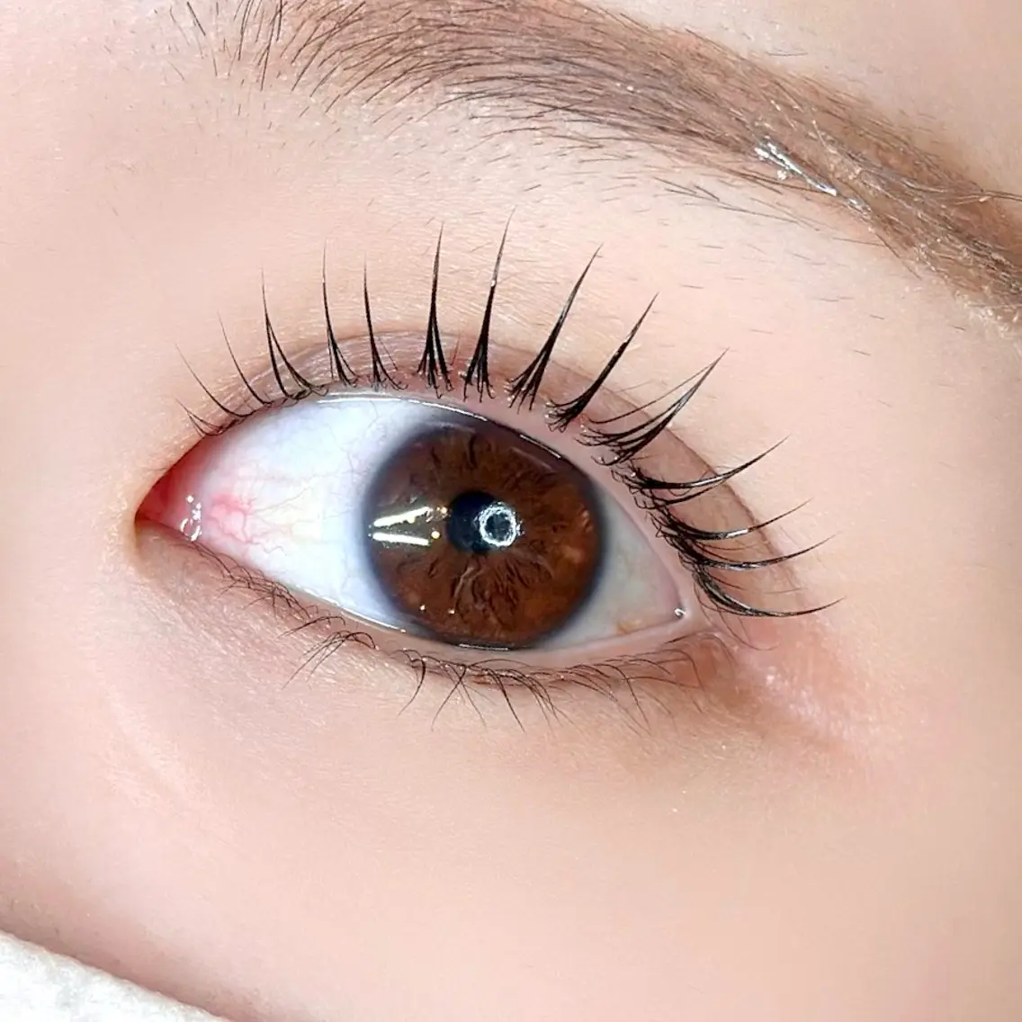 マツエク・マツパ ella eyelashのマツエク・マツパデザイン