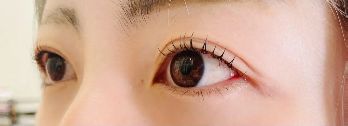 マツエク・マツパ Any eyelashのマツエク・マツパデザイン