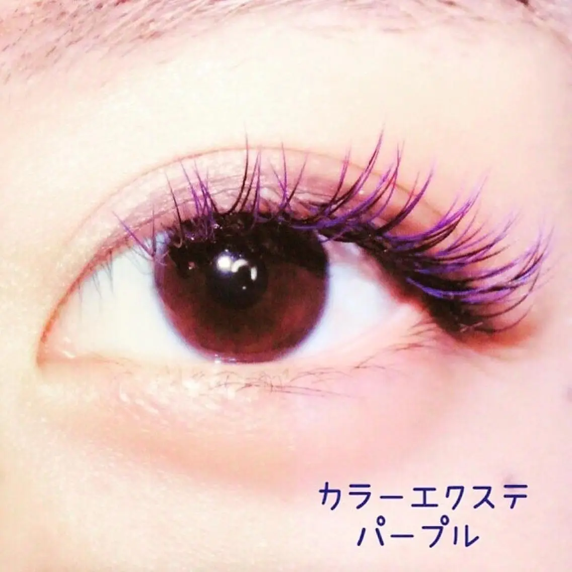 マツエク・マツパ セーブル 【STEEL池袋】 🌈MASHIMAのマツエク・マツパデザイン
