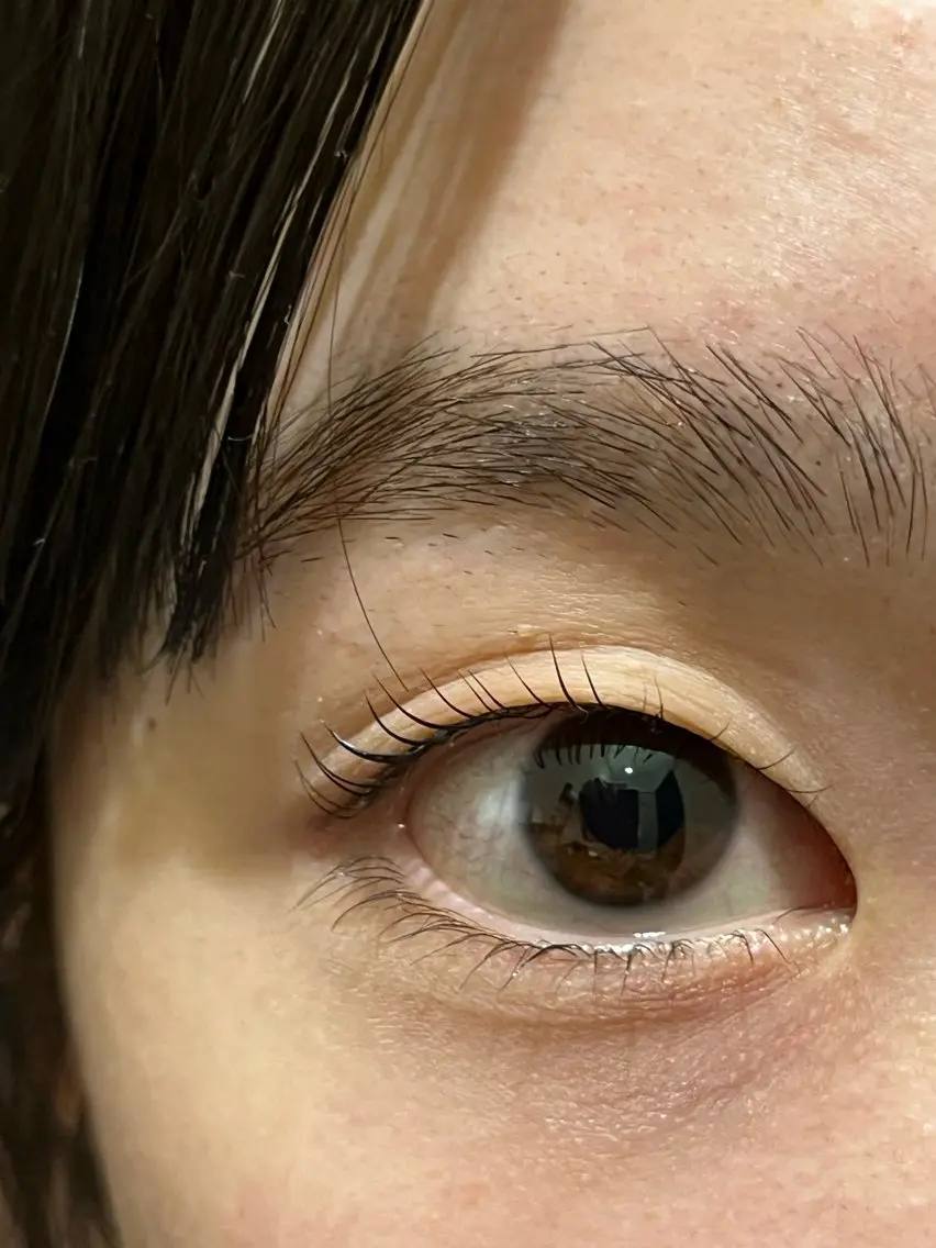 マツエク・マツパ まつげパーマ 下まつげエクステ マツパ 三澤 朱里の眉毛・アイブロウイメージ