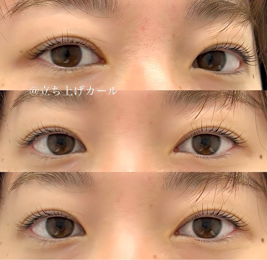 マツエク・マツパ 黄金比ナチュラル骨眉 / momoka🐈のマツエク・マツパデザイン
