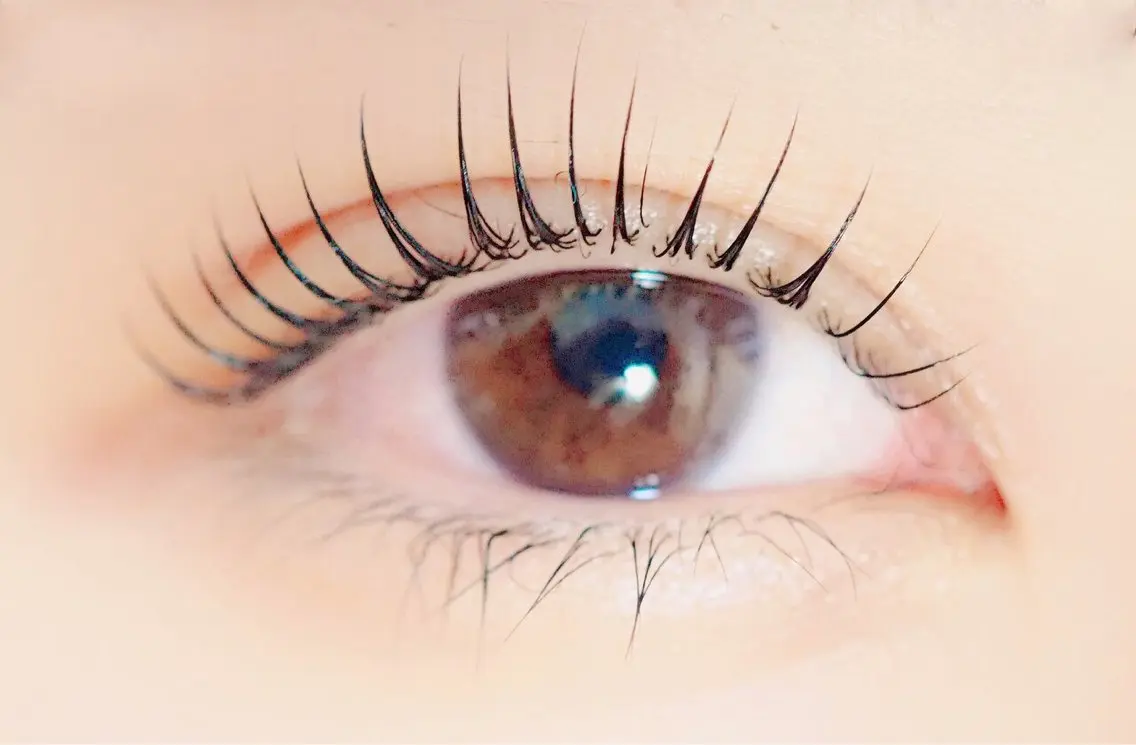 フラットラッシュ120本の写真