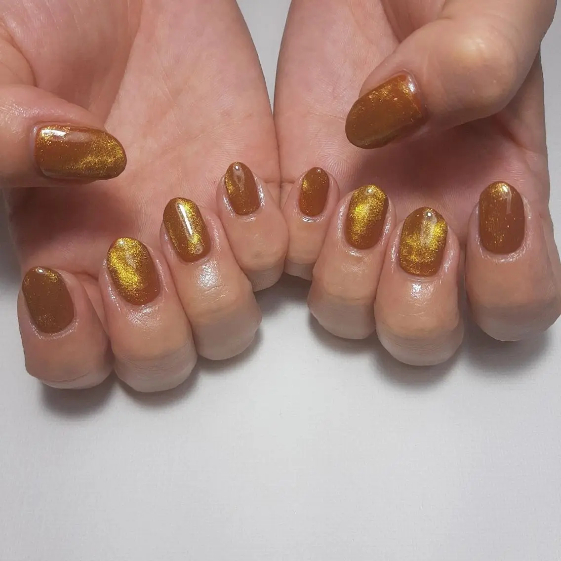 ネイル ブラウン マグネットネイル オレンジ owlnail /持込みデザイン専門のネイルデザイン