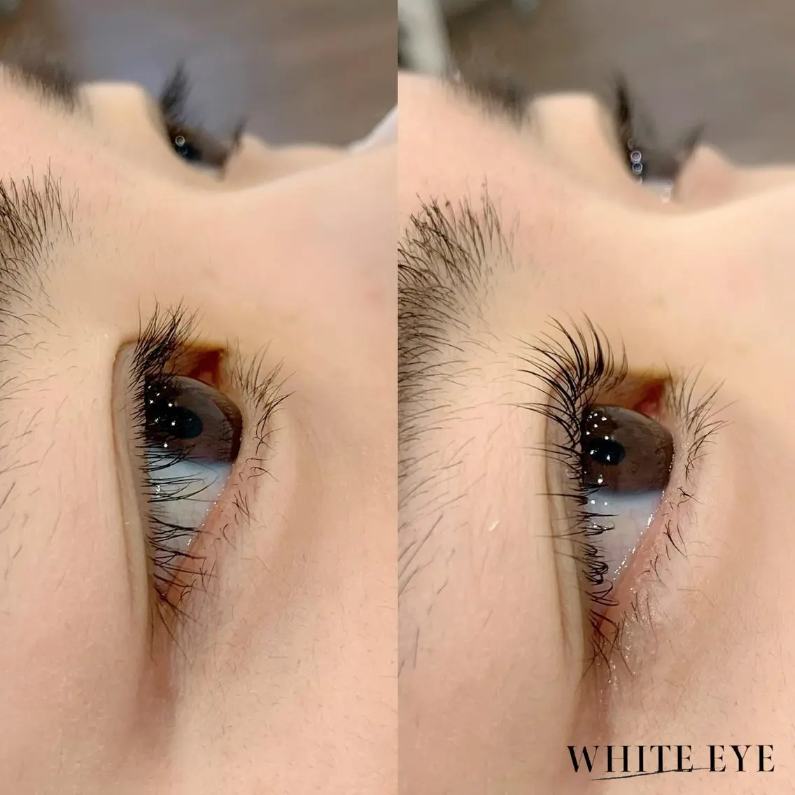 マツエク・マツパ マツパ WHITE EYE 🤍Mayukaの眉毛・アイブロウイメージ