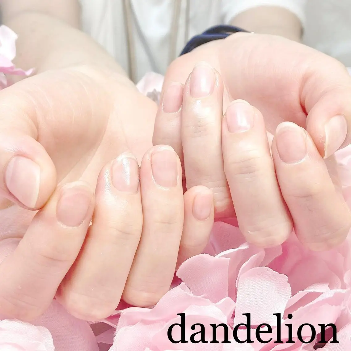 ネイル ハンドネイル ハンドケア dandelion ダンデライオンのネイルデザイン