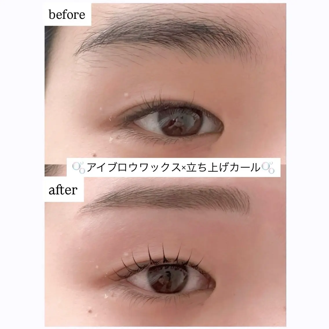 【5月限定🫧当店人気No. 1🫧】アイブロウワックス＋ラッシュリフトorまつ毛パーマの写真