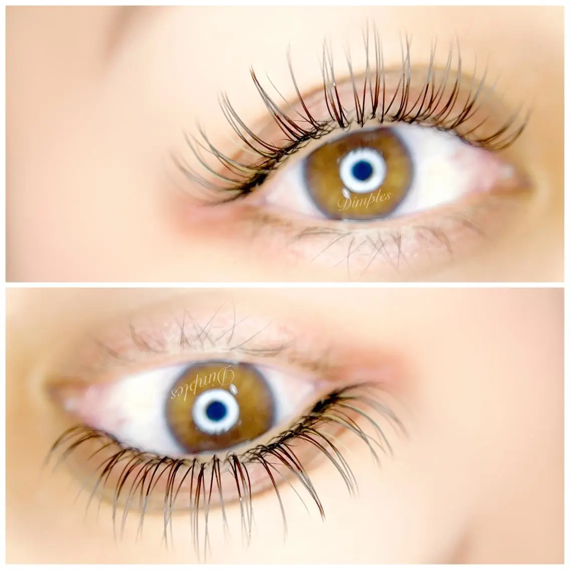 マツエク・マツパ Dimples eyelashのエステ・リラクイメージ