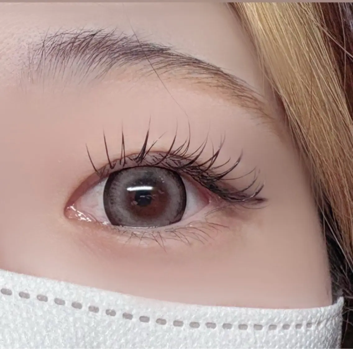 flatlush single(フラットラッシュ)付け放題の写真