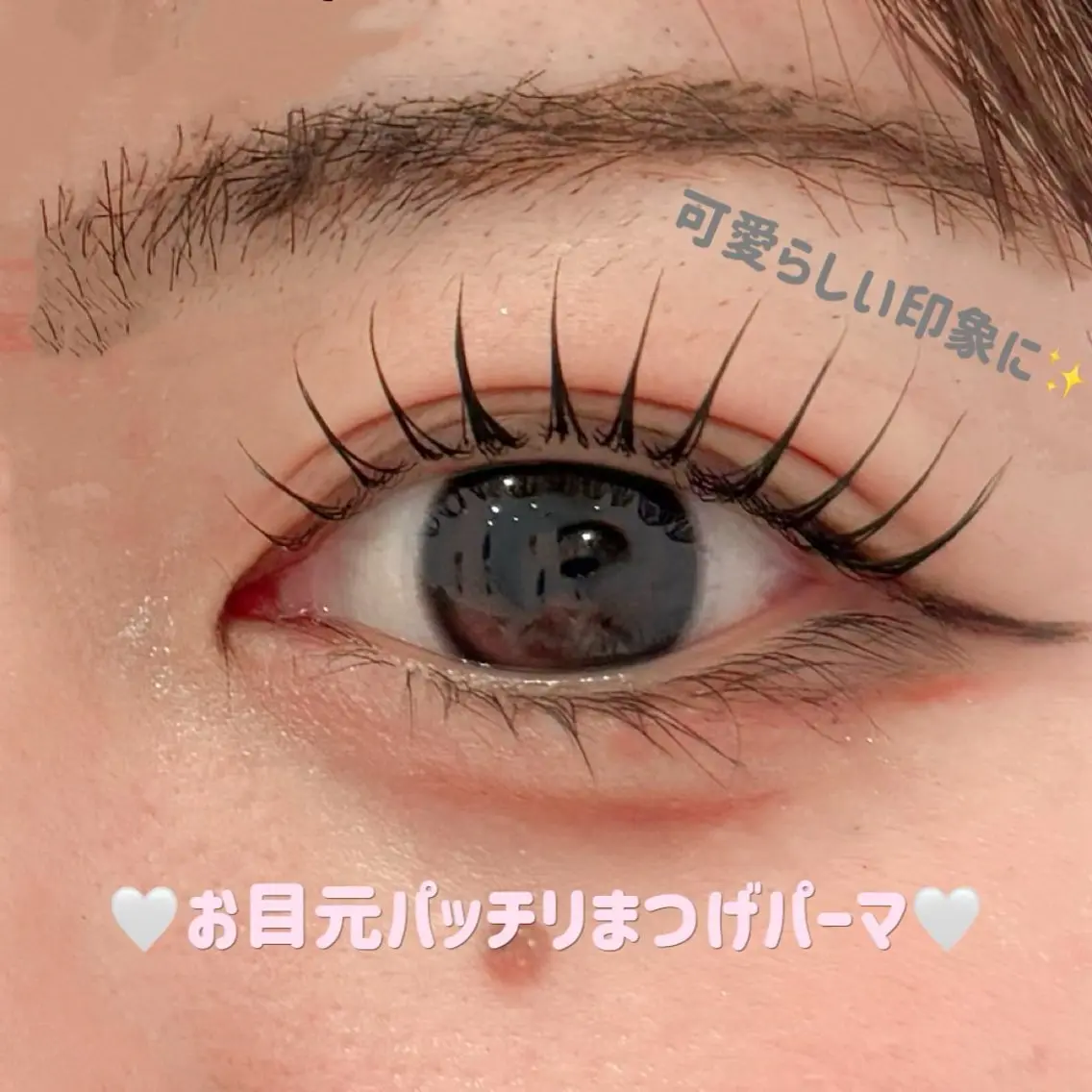 マツエク・マツパ まつげパーマ マツパ 🌙Lily 船橋 鈴木のマツエク・マツパデザイン