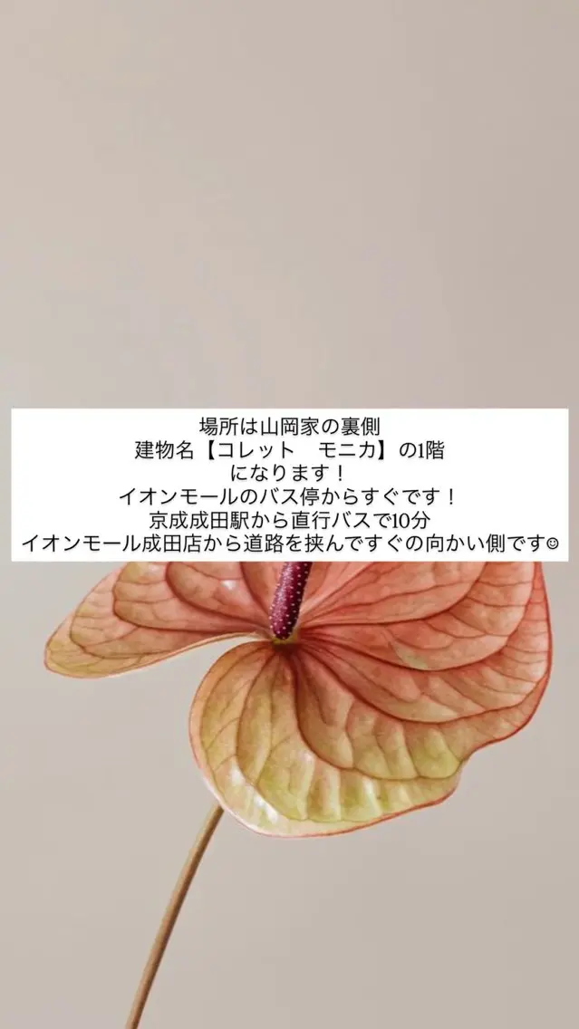ネイル 佐藤 穂乃香のネイルデザイン