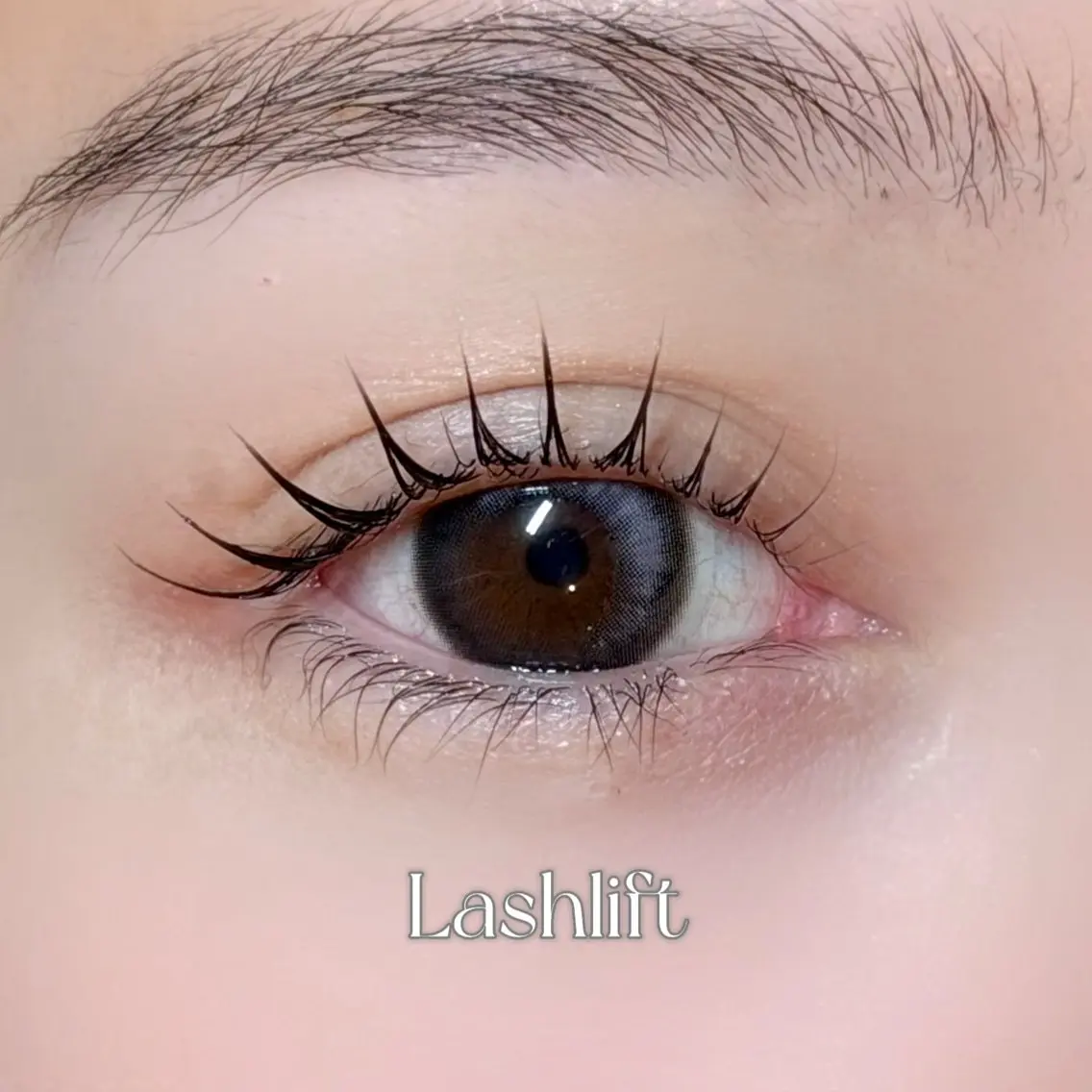 マツエク・マツパ パリジェンヌラッシュリフト マツパ LunariLash オーナーRina🌙のマツエク・マツパデザイン