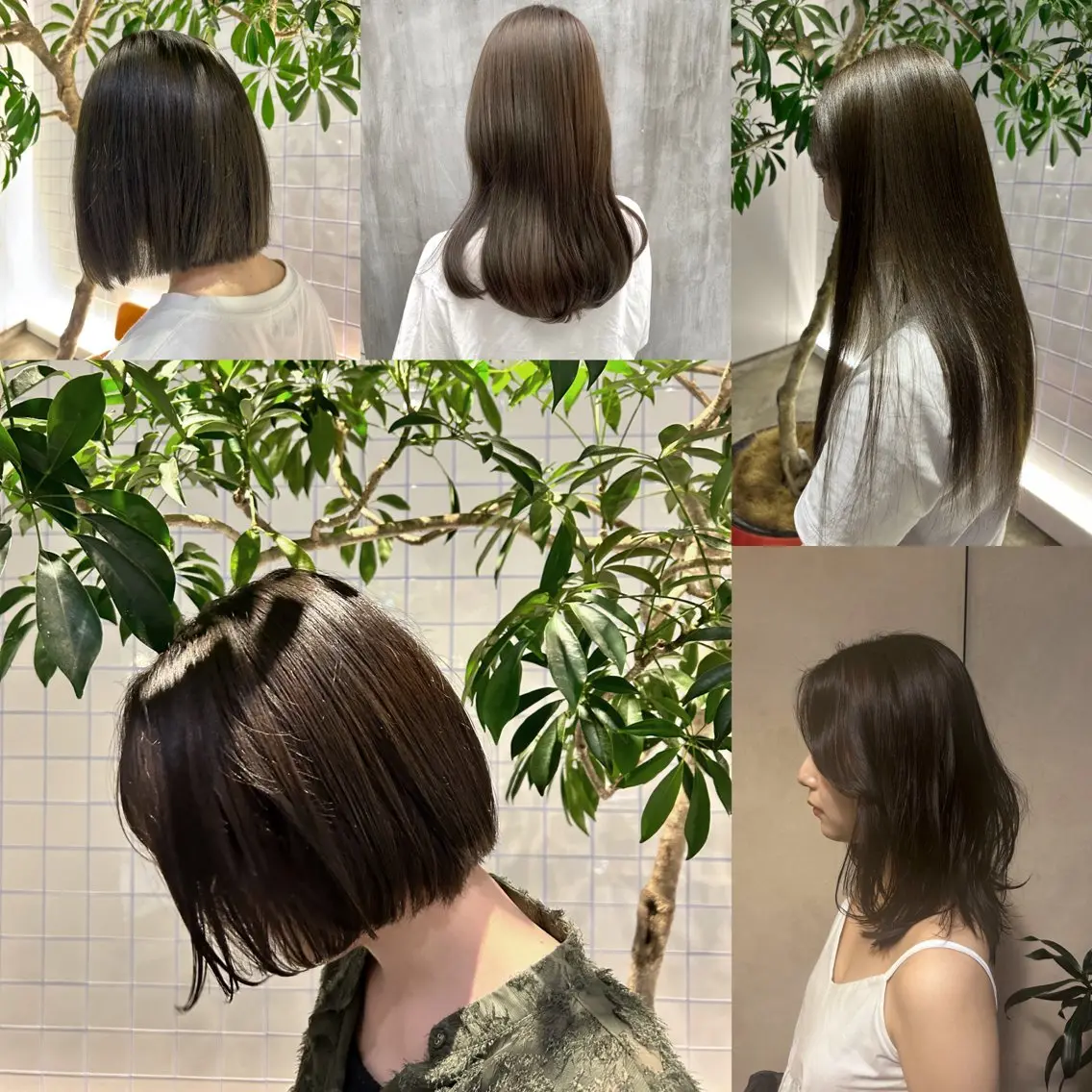 透明感　･:*+.。⚪︎○ ブリーチ無しOlive grey🫒🌿🐊💚🌵の写真