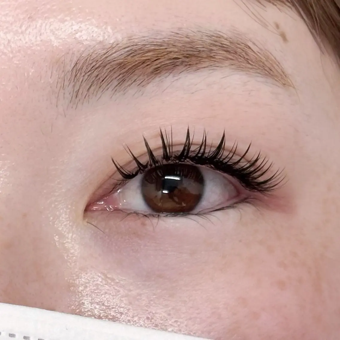 マツエク・マツパ マツエク eyelash LOOPのマツエク・マツパデザイン