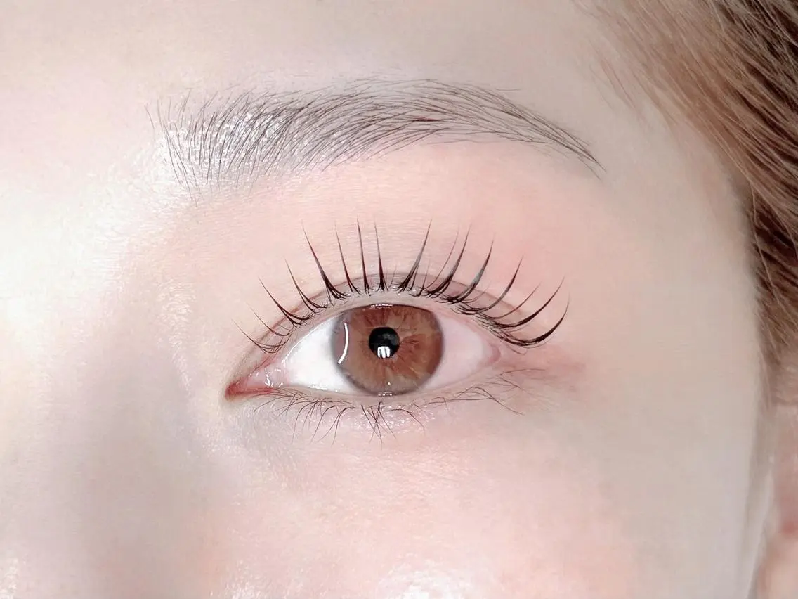🖤ブラックティント🖤束感まつげパーマ✨️の写真