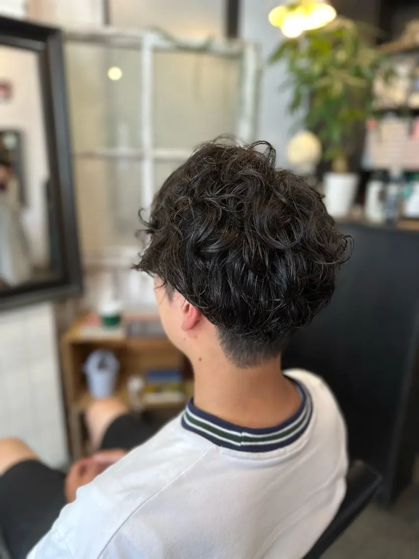 ミディアム パーマ メンズ ミディアムパーマ メンズパーマ カット パーマ 元住吉プランツヘアー ☘️丸山☘️のヘアスタイル