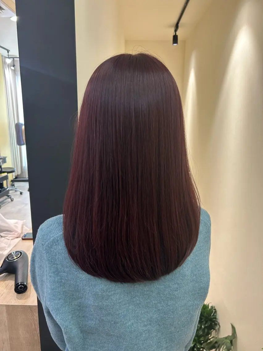 ロング カラー ブリーチ ボルドーカラー ブリーチなしカラー レッドカラー カット ヘアカラー トリートメント hubhair レイヤー/透明感のヘアスタイル