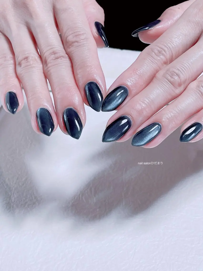 ネイル マグネットネイル ネイビー ハンドネイル NailSalon ひだまりのネイルデザイン