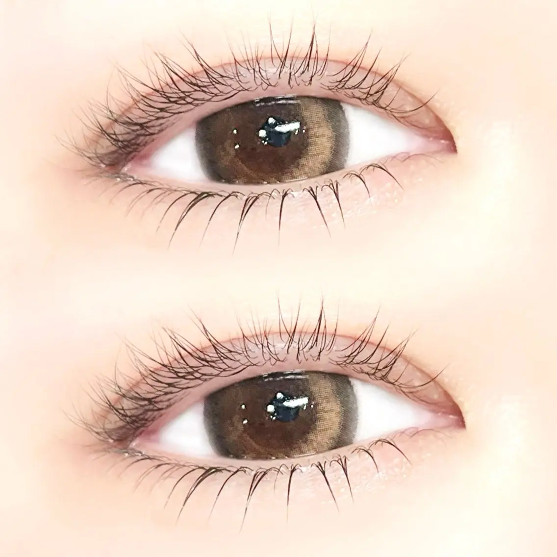 マツエク・マツパ まつげパーマ 下まつげエクステ eyelash Ronguiのマツエク・マツパデザイン