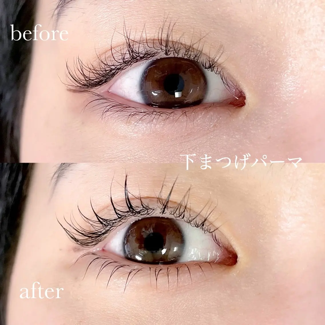 マツエク・マツパ まつげパーマ 下まつげエクステ マツパ eyelist🌼 asukaのマツエク・マツパデザイン