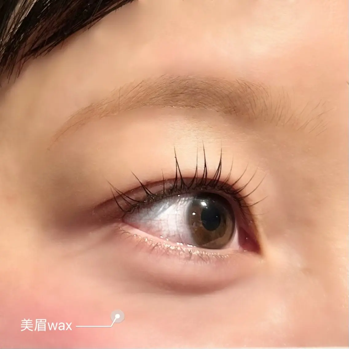 アイブロウ ワックス脱毛 眉カット その他(アイブロウ) elua eyelashの眉毛・アイブロウイメージ