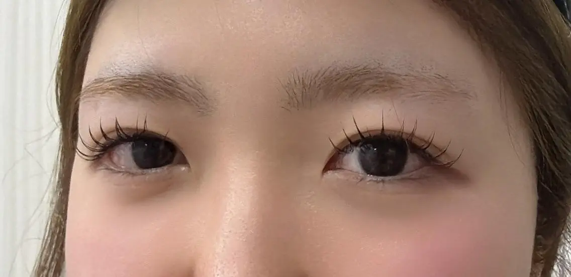 マツエク・マツパ フラットラッシュ 韓国風マツエク パリジェンヌラッシュリフト まつげパーマ 下まつげエクステ シミ🐝マツエク 🍓新大久保店のマツエク・マツパデザイン