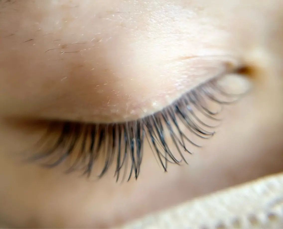 マツエク・マツパ フラットラッシュ Citrine eyelash ✿のマツエク・マツパデザイン