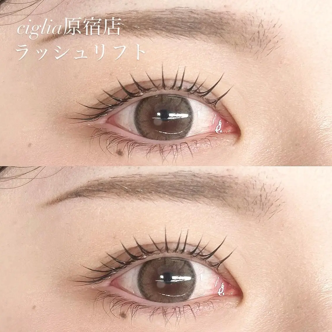 マツエク・マツパ ciglia 原宿店のマツエク・マツパデザイン