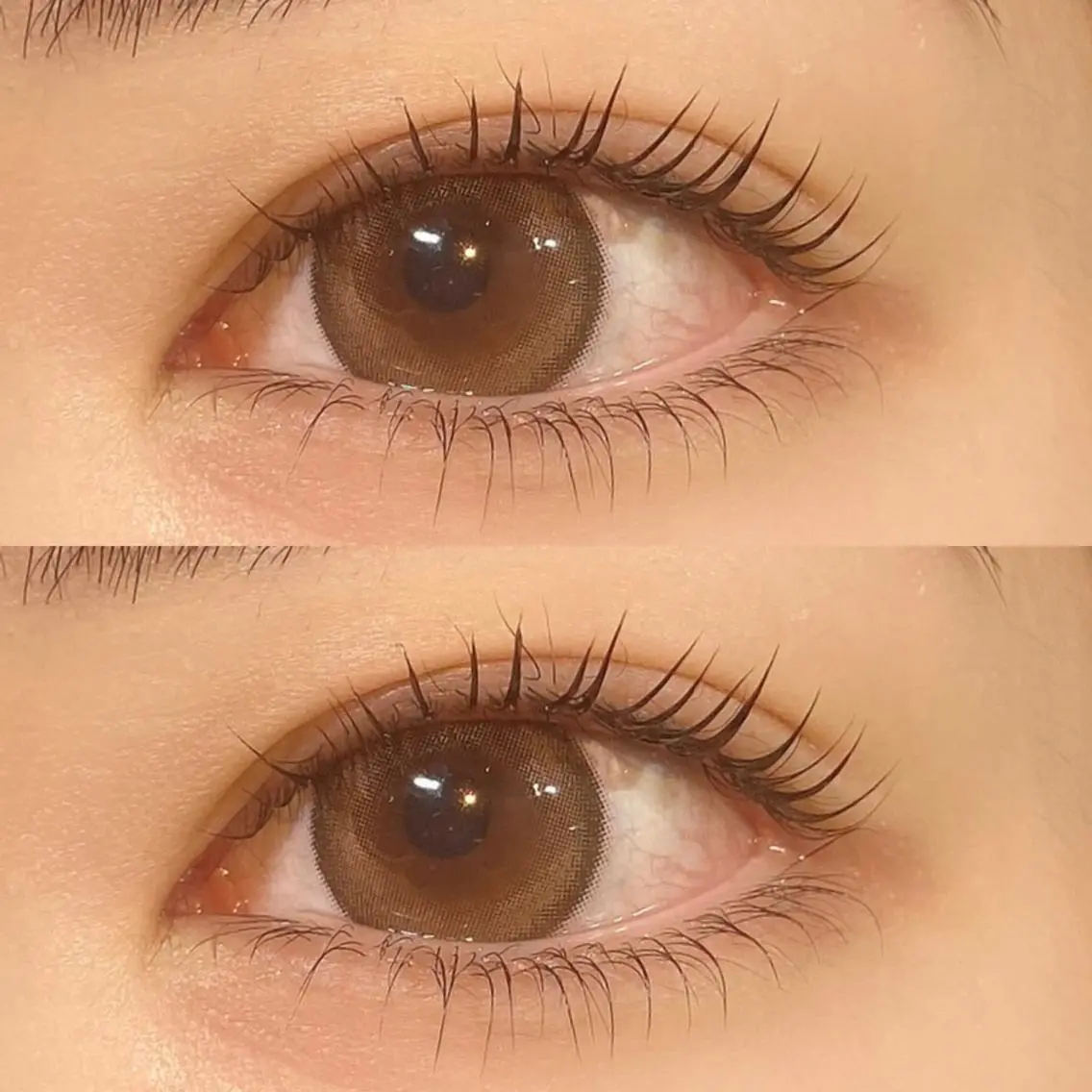 パリジェンヌ上下👀コーティング付き🫧の写真