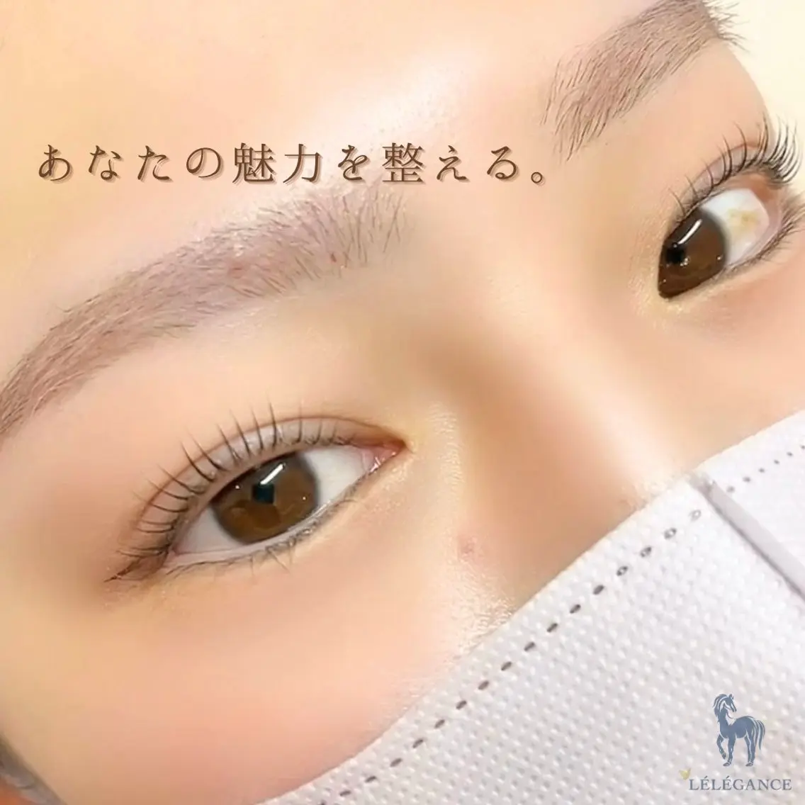 アイブロウ LELEGANCE eyelashの眉毛・アイブロウイメージ