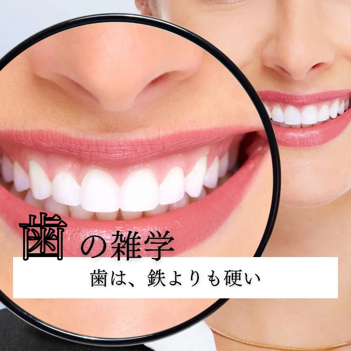 その他 ライトビューティー 恵比寿店のその他イメージ