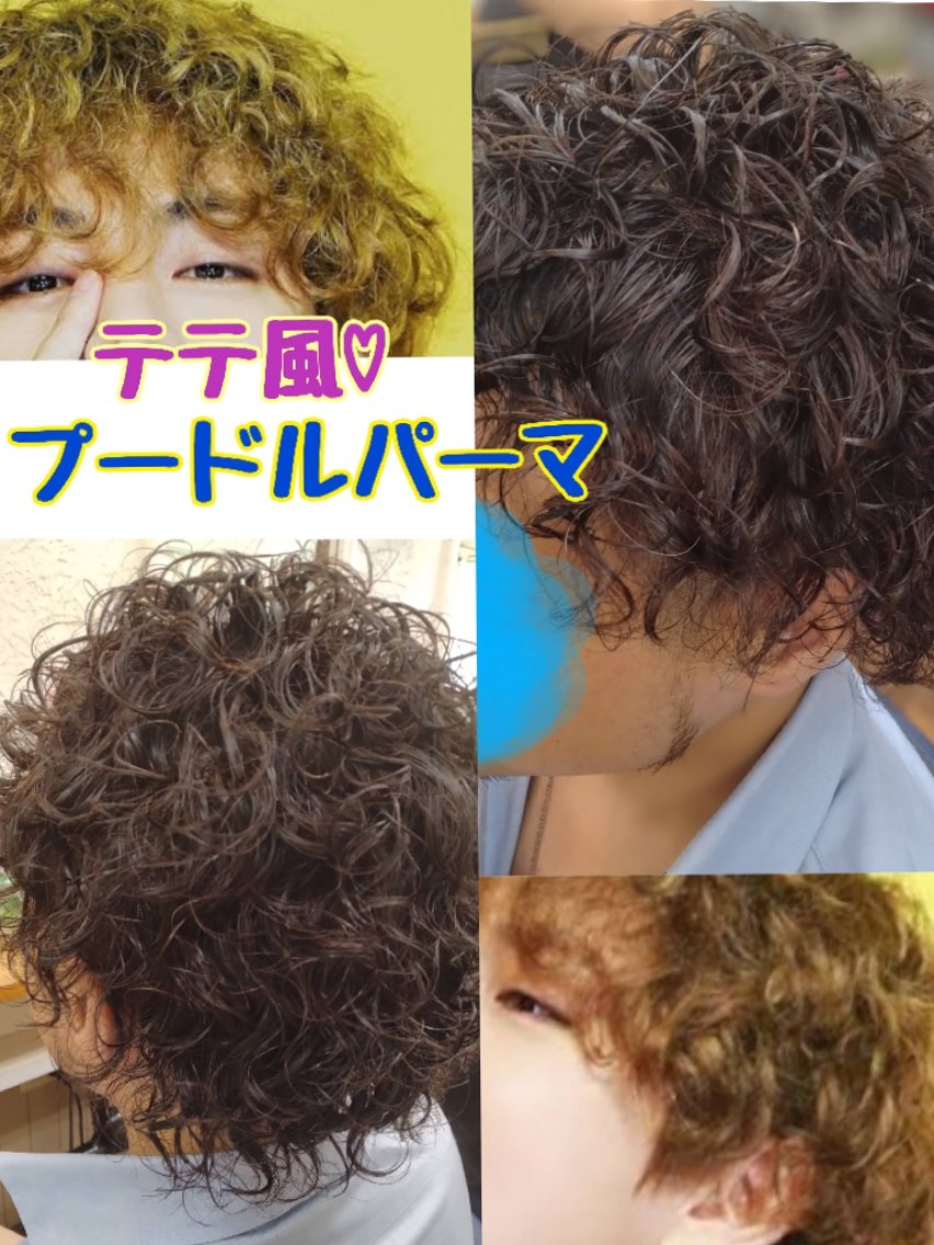 メンズ パーマ 森長 咲子のヘアスタイル
